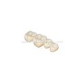 Custom Dental Layered Zirconia